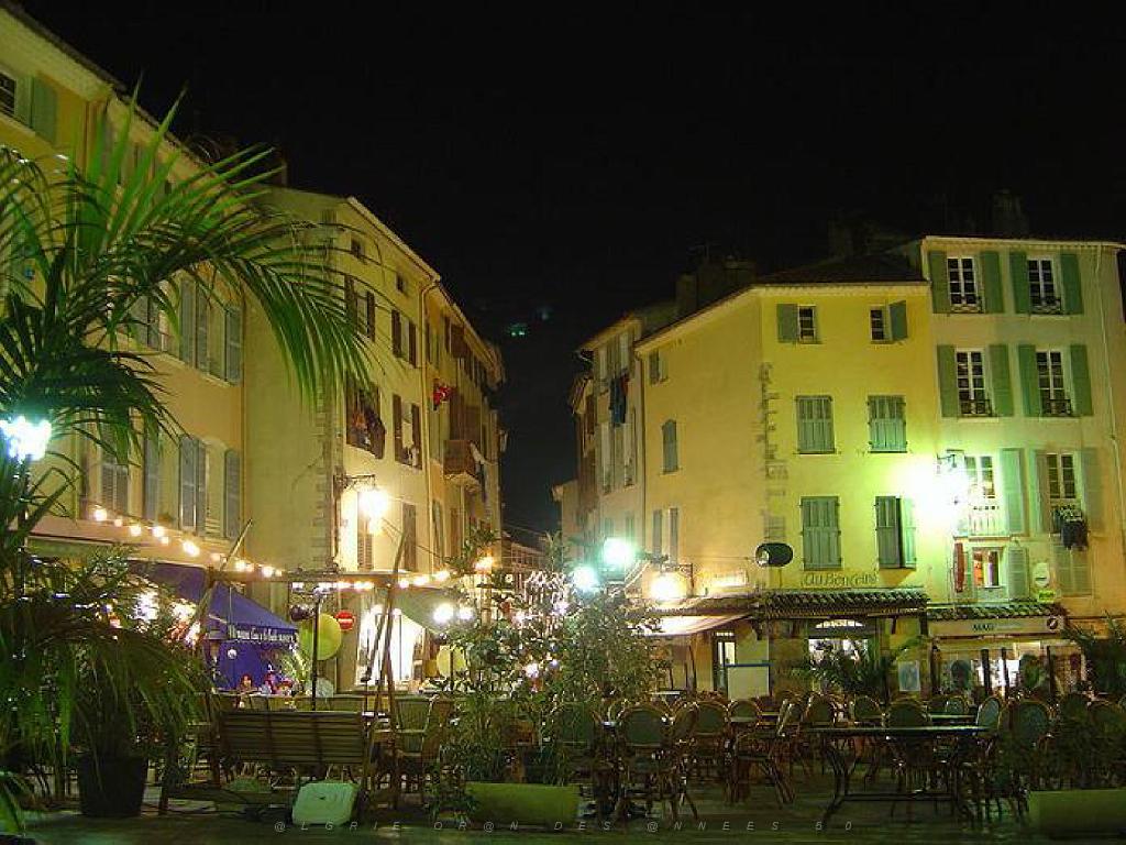 183 HYERES ET SES PALMIERS D14_000014.jpg